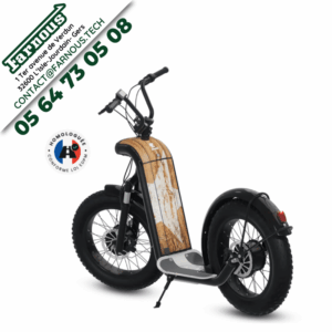 Trottinette électrique zosh city